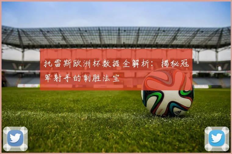 托雷斯欧洲杯数据全解析：揭秘冠军射手的制胜法宝